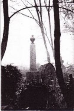 Noctis (FRA) : Out of the Shadow of Legend